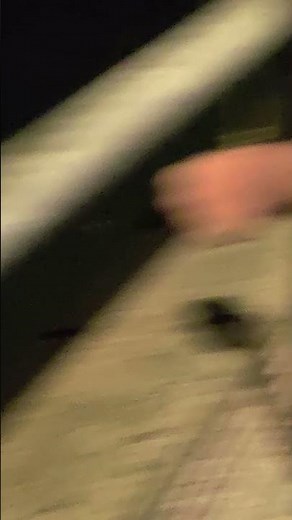 Fish BLITZ On Top of Water!!!