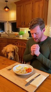 Dog Prays Before Dinner! Dog Prays Before Dinner! Generated using Kling AI . . . (For entertainment purposes only. Consult professionals if guidance on activities is presented. No brand affiliation is implied if any are shown. If inspired by true events, creative adaptations may be included. Content may include public footage.) | Fabiosa - Live easy