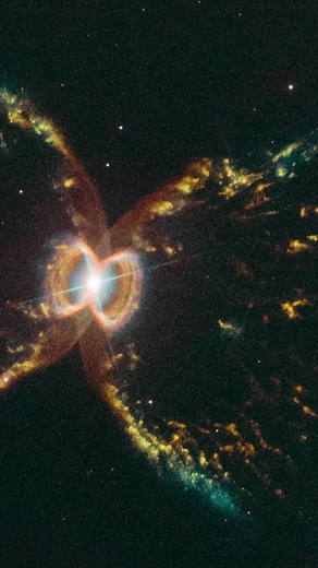 Space gets crabby, too. This Hubble view shows the Southern Crab Nebula, which consists of an aging red giant star and a burned-out star called a white dwarf. The red giant sheds its outer layers of material, and some of this cast-off material is attracted by the gravity of the companion white dwarf. The result is that both stars are embedded in a flat disk of gas stretching between them. This belt of material constricts the outflow of gas so that it only speeds away above and below the disk, le