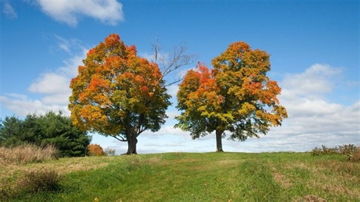 Who are MA's biggest landowners? The biggest private land owner owns over 5,000 acres