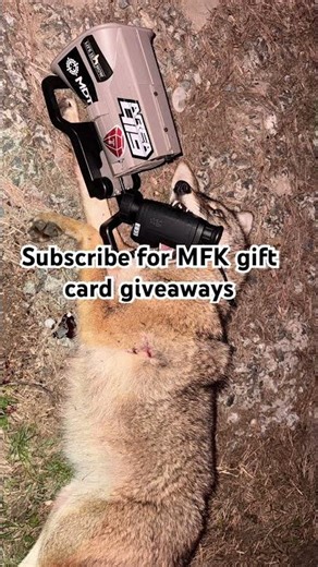 ‼️Free MFK coyote sounds‼️ READ DESCRIPTION