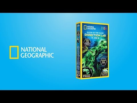NATIONAL GEOGRAPHIC Glow in the Dark T. Rex Dissection Lab