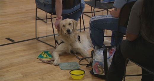 Prison program in Tenn. empowers inmates to train service dogs for people in need