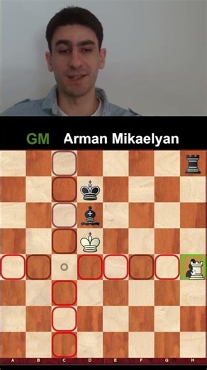 Chess Endgame Study !!