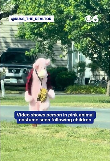 Fredericksburg police are asking for the public's help after a person in a pink animal costume was spotted following children in the Lafayette Boulevard corridor. New video of the incident, courtesy of Russ the Realtor on TikTok, shows the suspect in the area. Police received a report of suspicious activity in the Lafayette Boulevard corridor at 4:30 p.m. on Thursday, May 14. A photo included in a police news release appears to show a person wearing a pink animal costume, cowboy boots and a red