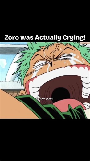 Otaku Maru on Instagram: "Day 140 of Collecting Otakus (3837/4000) Even Zoro was crying at this moment 🫠 When the Straw Hats finally pass Reverse Mountain and officially enter the Grand Line, they barely have time to react before facing their first major threat. A massive whale, Laboon, suddenly appears in front of the Going Merry and crashes into the ship. The crew immediately panics. Nami is frightened, Usopp is shouting, Sanji is unsure what to do, and even Zoro looks tense. At this point, t