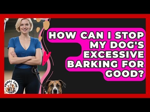 How Can I Stop My Dog's Excessive Barking For Good? - Animal Care Jobs