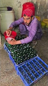 Citrus Spark Bottle Filling Process