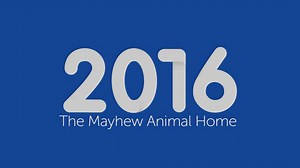 4.7K views · 273 reactions | 2016 was an incredible year at The...