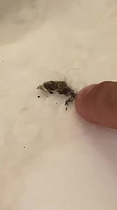 You can’t make this stuff up . | Jill Wagner