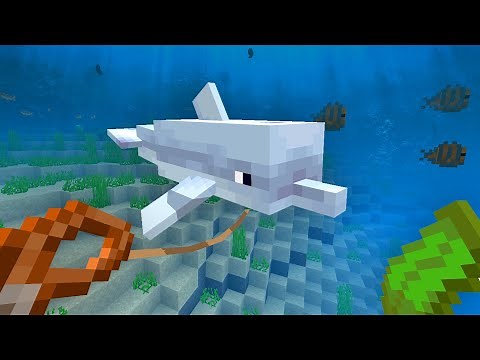 How to Tame a Dolphin in Minecraft?