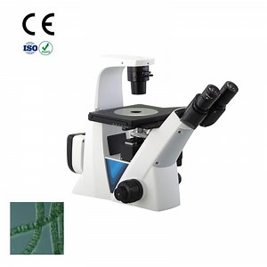 [Hot Item] Digital Optical Equipment Inverted Biological Microscope for Medical Laboratory