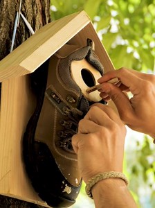 When birds received human care: Watch how these bird shelters were created! | 5-Minute Crafts Family