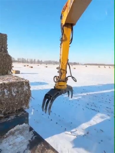 Excavator Loading Grass onto Truck Demonstration
