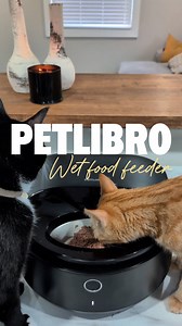 The Petlibro wet food feeder is one of my absolute favorite products! Being able to sleep in instead of getting up at 5 has been amazing and I can't recommend this feeder enough. Let me know if you have any questions. Petlibro also has an awesome new AI camera you could use for extra monitoring. #fyp #catofinstagram #petsupplies #autofeeder petlibro.sjv.io/09BOm3 | itscookiecat