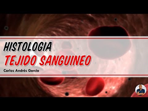 Histology - Blood Tissue (Plasma, Red Blood Cells, Leukocytes and Platelets)
