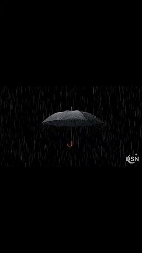 Sleep in Seconds | Umbrella Rain ASMR for Instant Calm