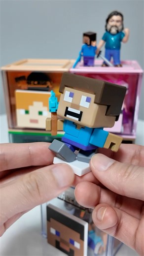 Minecraft Steve World