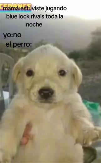 Blue Lock Rivals en Roblox: Diversión Sin Fin