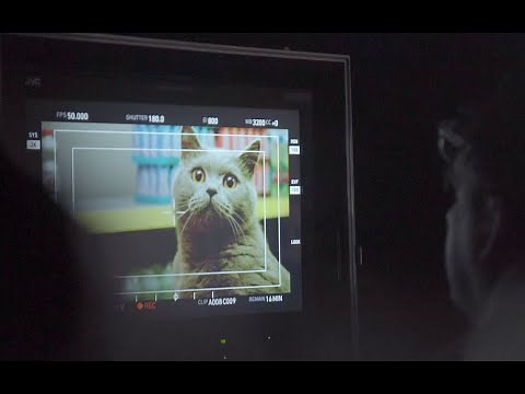 Making Off I TV Spot „Katzen“ I NETTO