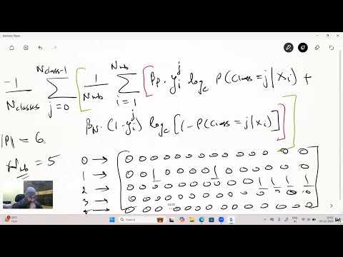 Code Walkthrough: Implementing a Custom Loss Function for Multilabel CNNs! (Part 11)