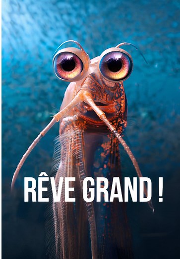 Ça fait réfléchir… Crédits: Happy Feet 2