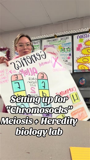Chromosocks Lab Setup: Engaging Biology Experiments