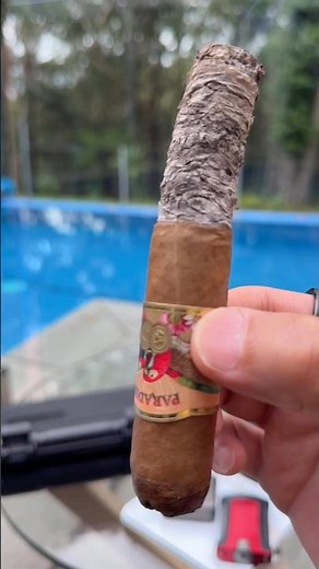 ASMR Paradiso Quintessence Majestic #cigarasmr #shorts