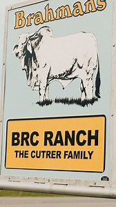 Where Legends Are Framed: Capturing Moments That Define BRC Ranch.📸🔥 | BRC Ranch