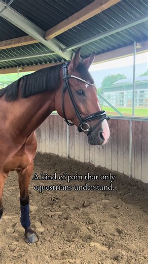 lessi_on_tour on TikTok