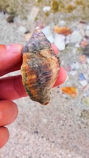 9.1K views · 18 reactions | Save & Read Below! ✨️⬇️ . I've learned...