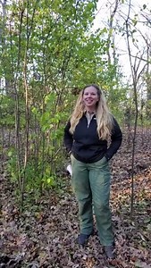 528K views · 3K reactions | If there’s still green in your woods ......