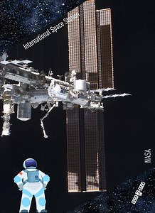 11K views · 183 reactions | BREAKING ️: We're Sending Mighty Mice to Space!  Over the course of 40 days at the International Space Station, researchers will determine the effect of microgravity on JAX's Mighty Mice – genetically engineered mice that lack myostatin and therefore display increased muscle mass.  #miceinspace https://www.jax.org/personalized-medicine/mighty-mice-in-space | The Jackson Laboratory | Facebook