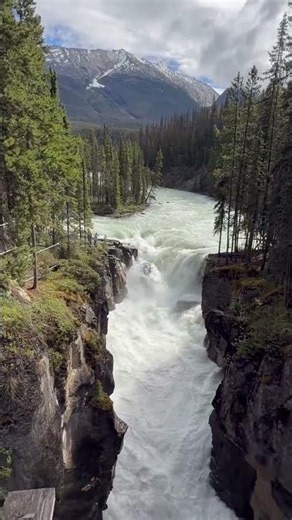 Sunwapta Falls