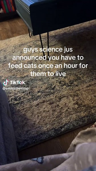 Feed My Cat: A Scientific Look at Cat Nutrition