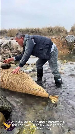 Bamboo Fish Traps – Simple, Clever, and Timeless