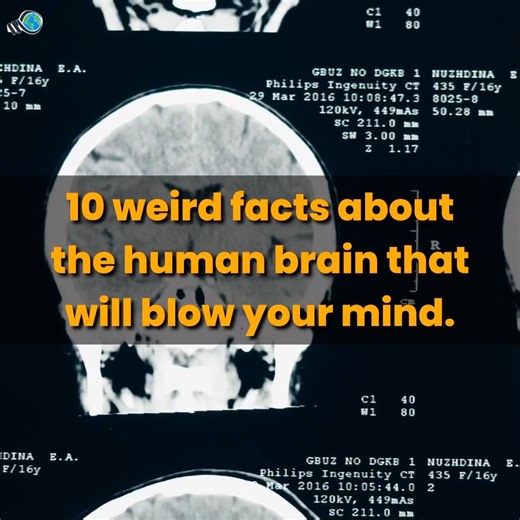 10 weird facts about the human brain that will blow your mind. | Weird World