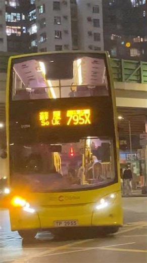 Citybus: 51398 TP2955 on route 795X #bus #hkbus #hongkongbus #citybus #citybushongkong