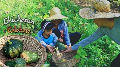 Traditional chicharon kalabasa made from squash
