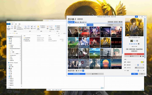 【Wallpaper Engine】利用repkg提取图片(快速演示)