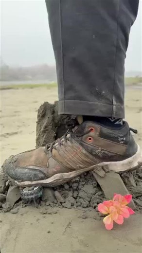 Creative House Videography Ideas for Shorts and Reels