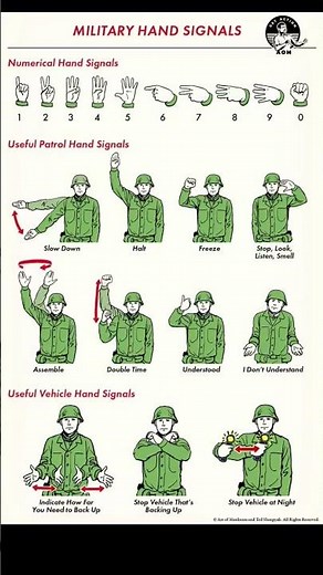 #American_Military_English #Military #americanmilitary