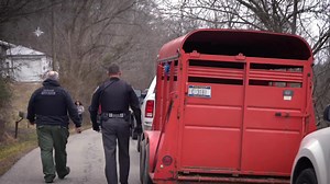 10K reactions · 3.1K shares | It's like Netflix for horse people. Horse movies, documentaries, TV shows, and training from the world's greatest horsemen. | Horse.TV | Facebook