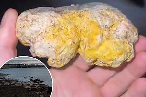 Fisherman’s dog finds whale vomit possibly worth millions: ‘Treasure of the sea’