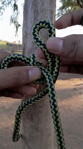 Unique Rope Knot Around a Thick Vertical Tree Trunk 🌳🪢 #RopeKnot#KnotTying#TreeKnot#OutdoorSkills