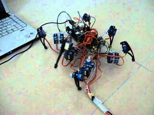 Spider Robot using Arduino and Processing...
