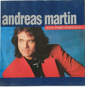 Andreas Martin - Deine Flügel Fangen Feuer