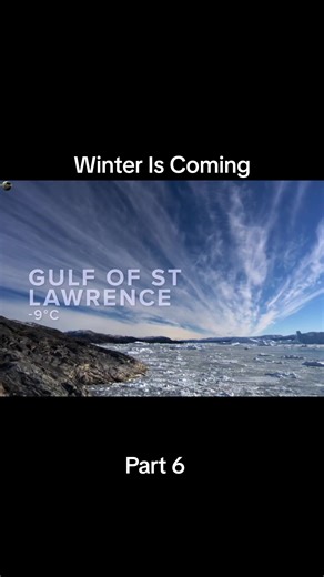 Winter Is Coming ( Part 6 ) [ Hindi Documentary ] #wildanimals #wildlife #documentary #trending #viral