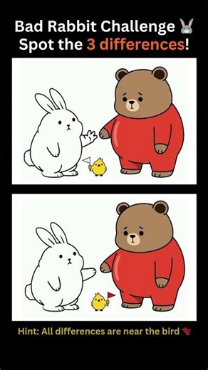 Rock-Paper-Scissors! 🐰 vs 🐻 | Bad Rabbit