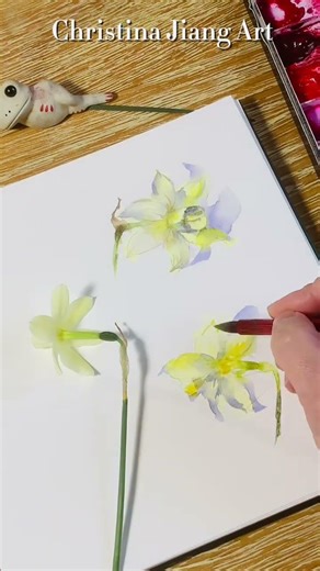 How to paint the daffodil in watercolour #watercolor #watercolour #daffodils #blossom #art #水彩 #水仙